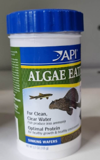 API - Algae Eater